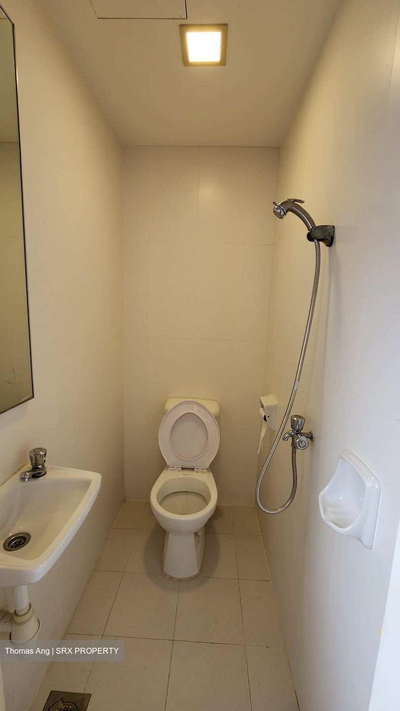 8 @ Mount Sophia (D9), Condominium #588705271
